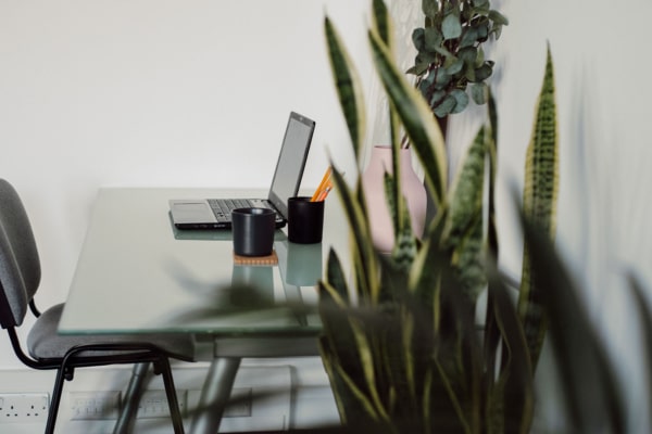 A work space at Elsie Whiteley Innovation Centre that has a chair, laptop and desk. On the desk there is a mug, plant, print and pens. There's in the front.