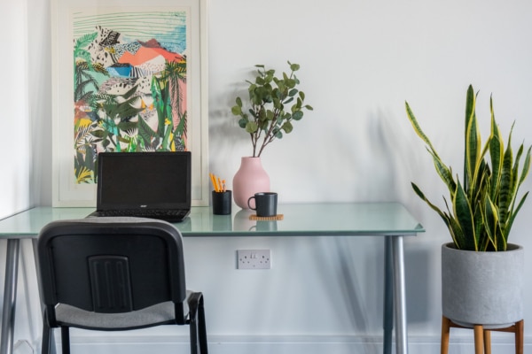 A work space at Elsie Whiteley Innovation Centre that has a chair, laptop and desk. On the desk there is a mug, plant, print and pens. There's a plant to the right.
